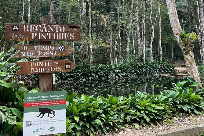 4x4 Tijuca National Park Rio de janeiro - Parque Nacional da Tijuca: the urban rainforest moment