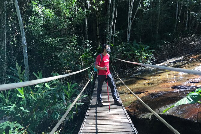 Adventure & History at Tijuca Forest (small group or private) - Tijuca Forest is the real contrast to Rio’s city icons