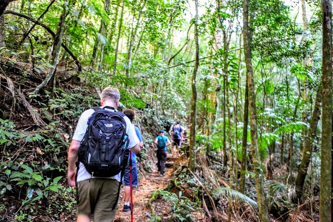 Adventure & History at Tijuca Forest (small group or private) - Price and what you actually get (6 hours, small-group pace, guide)