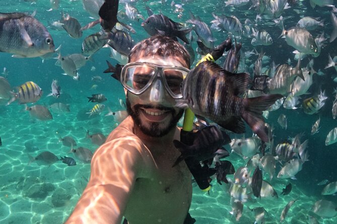 Angra dos Reis: A unique experience in paradise - Lagoa Azul: Wildlife Watching and Underwater Time Without Extra Ticket Fees