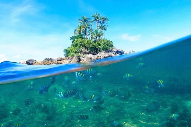 Angra dos Reis: A unique experience in paradise - From Rio to the Dock: Why the Drive Is the Hard Part