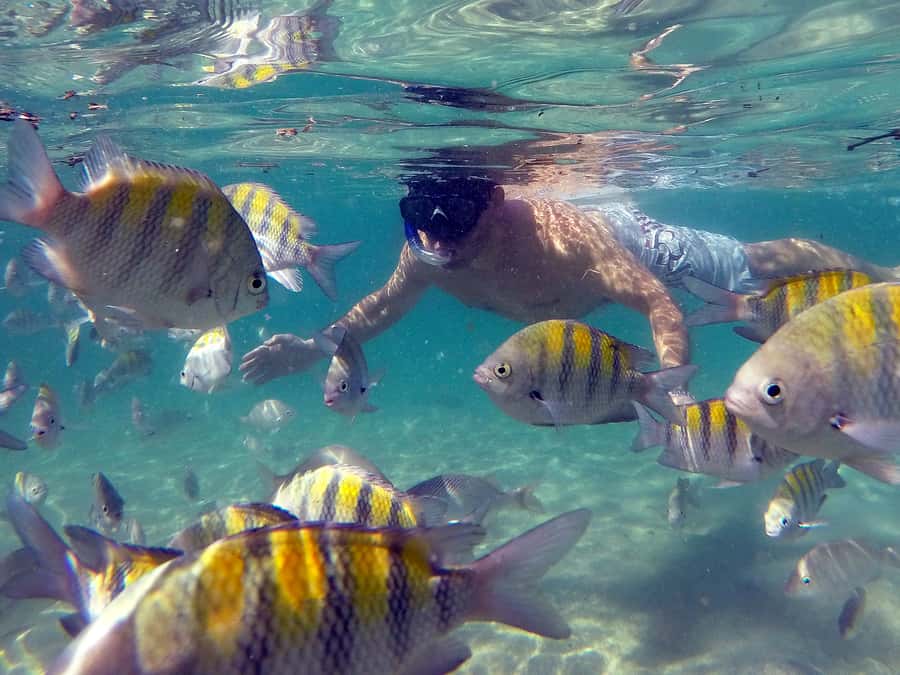 Angra dos Reis and Ilha Grande: Small-Group Fast-Boat Tour - Food and drinks: how to handle lunch timing without getting cranky