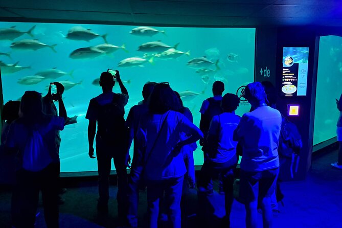 AquaRio and Biopark half-day tour - Should you book this AquaRio and BioParque half-day tour?