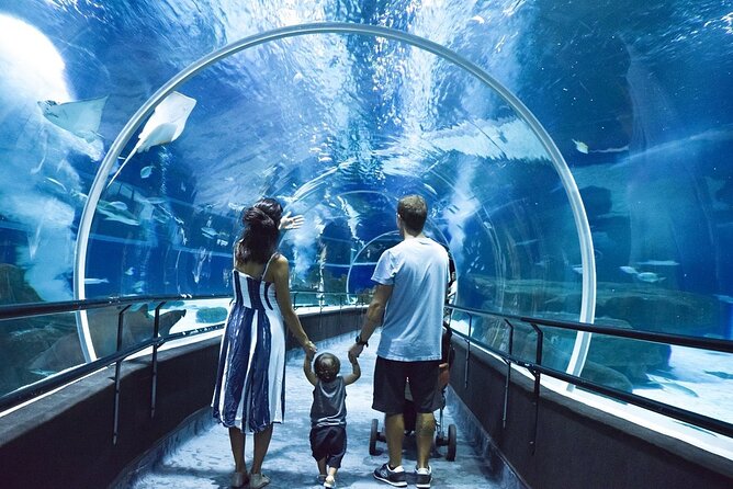 AquaRio, Museum, Boulevard Olimpico, Ferris Wheel, Transport and Tourism Guide. - Weather, the mobile ticket, and a simple packing plan