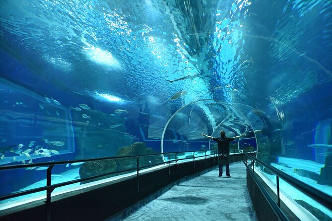 AquaRio Rio de Janeiro Tickets Only - Key Highlights At AquaRio (What Matters For Your Time)