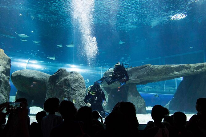AquaRio Rio de Janeiro Tickets Only - AquaRio Rio De Janeiro Tickets Only, What You’re Actually Buying