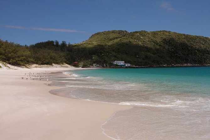 Arraial Day Trip With Boat Tour And Lunch - Small group size: why max 9 people can make your day better