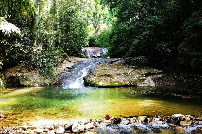 Atlantic Forest Tour: Christ the Redeemer and Tijuca Forest - Corcovado and Christ the Redeemer: admission included, plan your focus
