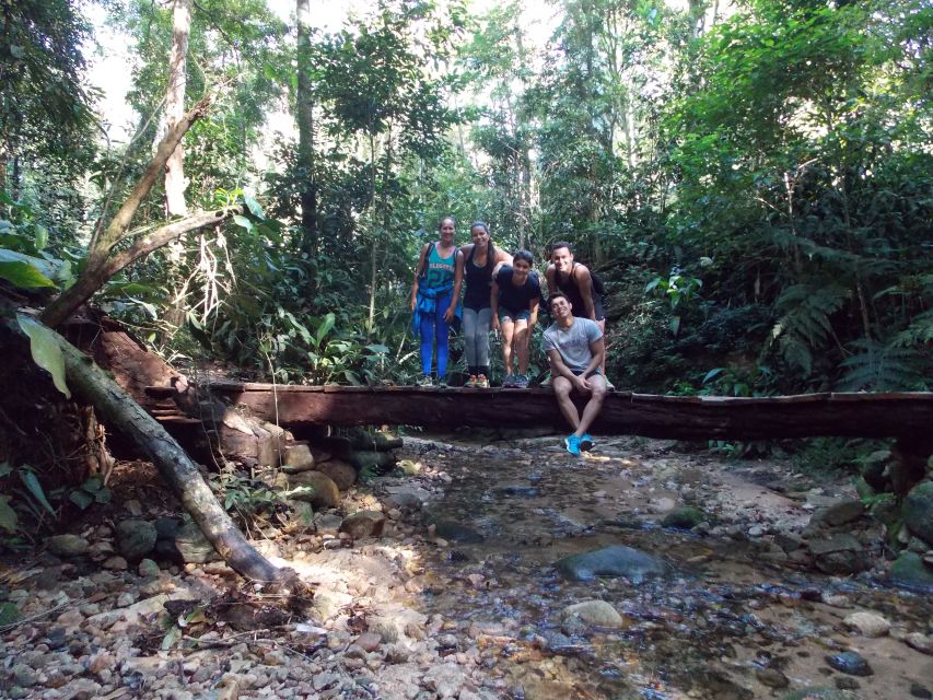 Bico do Papagaio Guided Hiking Tour in the Tijuca Forest - Weather, trail changes, and safety realities in Tijuca Forest