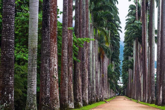 Botanical Garden, a Place of Science, Culture, and Leasure - A half-day of plants and lagoon views in Rio (8:00 am start)