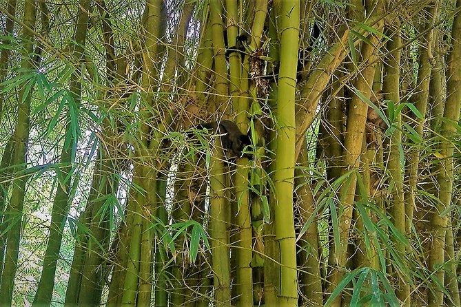 Botanical Garden, a Place of Science, Culture, and Leasure - What’s included, what’s not, and what to plan for
