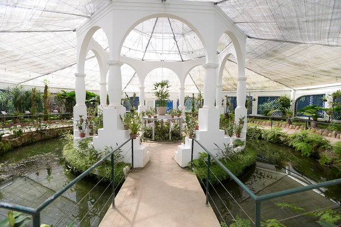 Botanical Garden and Parque Lage Private Tour with a Photographer - Walking vs electric cart, and how to pace for photos