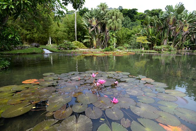 Botanical Garden and Parque Lage Private Tour with a Photographer - Parque Lage, the 1840 romantic garden by John Tyndale