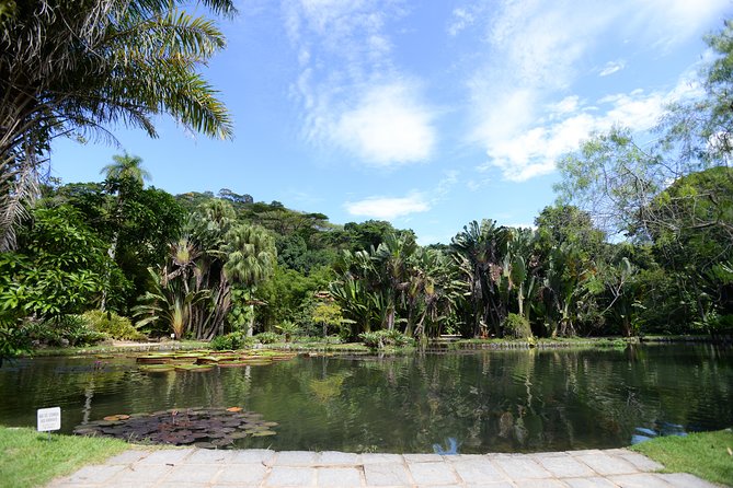 Botanical Garden and Parque Lage Private Tour with a Photographer - Price of $150, and how to judge value for your style of travel
