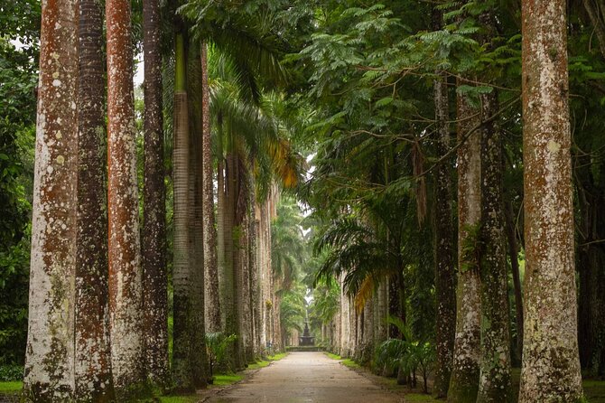 Botanical Garden and Tijuca Forest: Nature in Rio de Janeiro - Key highlights to know before you go