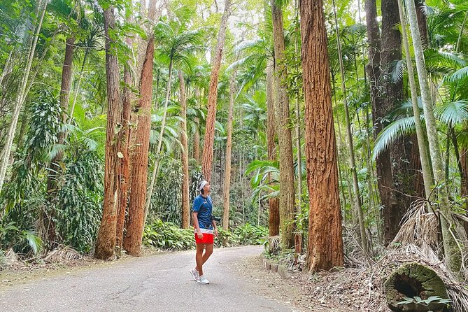 Botanical Garden and Tijuca Forest: Nature in Rio de Janeiro - Entering Jardim Botanico: A Short Walk With Big Variety