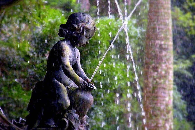 Botanical Garden and Tijuca Forest: Nature in Rio de Janeiro - Taunay Falls and the Photo-and-View Strategy