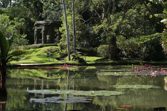 Botanical Garden and Tijuca Forest: Nature in Rio de Janeiro - Price and Value: Is $135 Fair?