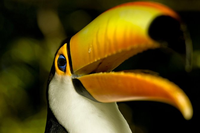 Brazil Family Adventure - Private Multi Day Tour - Key things to know before you go