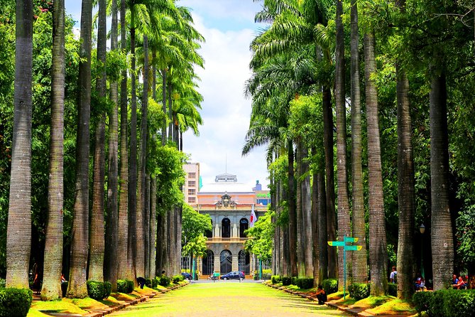 Brazil Family Adventure - Private Multi Day Tour - Hotels, breakfasts, and the value of not worrying every morning