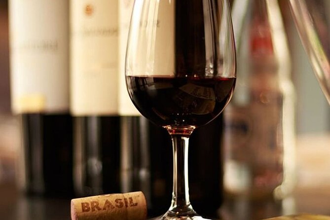 Brazilian BBQ Guided Dinner in Rio with Wine Pairing - Wine pairing from Brazil, Chile, and Argentina, and how to get more out of it