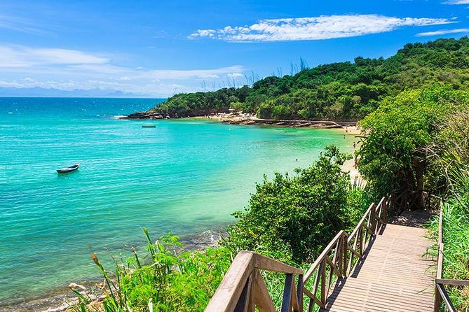 Brazilian Saint Tropez - Buzios Beach Full Day Tour - Key Highlights You Should Not Miss