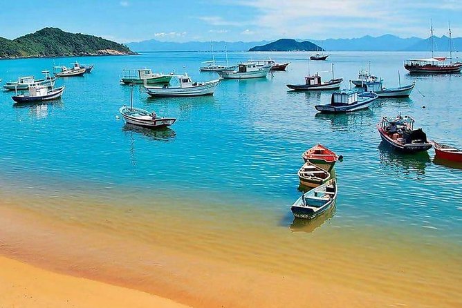 Buzios Day Tour - Praia da Tartaruga: warm water, cove views, and free admission time