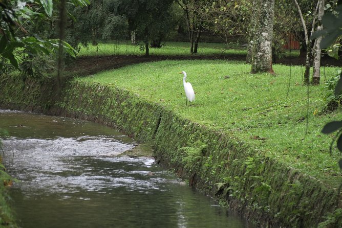 Christ, Botanic Garden & Waterfall Shower. 6 Hours Tour. - Botanical Garden Walks and Museu Casa dos Piloes