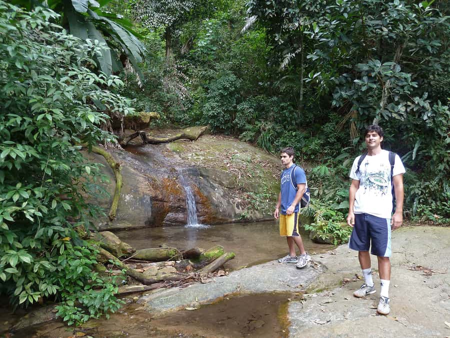 Christ the Redeemer through Lage Park 6-Hour Hiking Tour - Key highlights you’ll care about