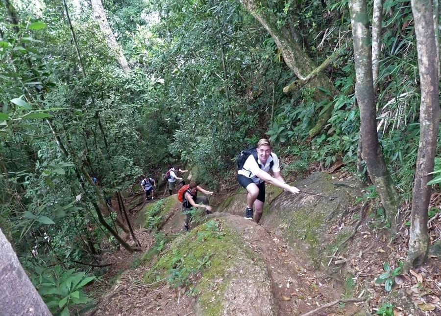 Christ the Redeemer through Lage Park 6-Hour Hiking Tour - The uphill trek on Corcovado, pace, and what advanced really means