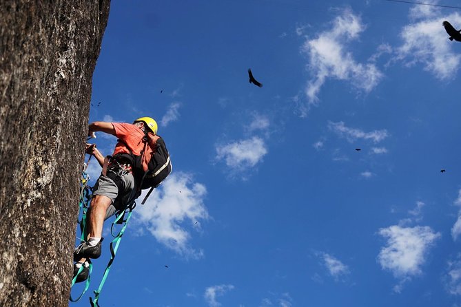 Climb Rio de Janeiro: Rock Climbing Tailored for All Levels - How Itaway matches you: top-rope to multi-pitch