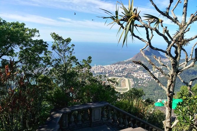 Corcovado and City Tour - Should you book Corcovado and City Tour?