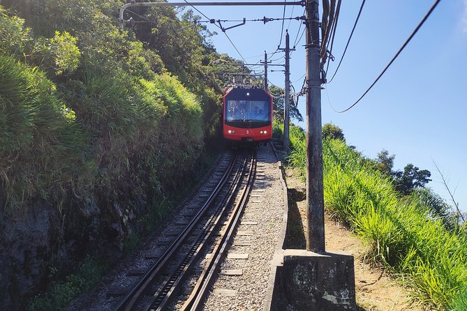 Corcovado Hiking Tour in Rio de Janeiro - From hotel pickup to Parque Lage: starting smart