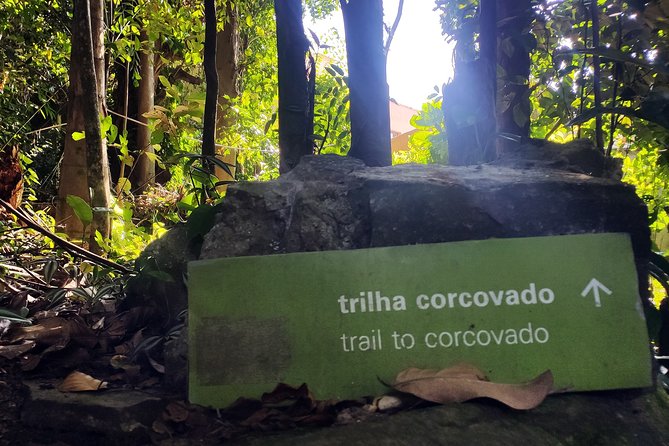 Corcovado Hiking Tour in Rio de Janeiro - The climb itself: advanced hike, but broken into manageable pieces