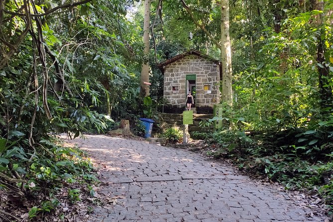 Corcovado Hiking Tour in Rio de Janeiro - The return to Parque Lage and back to your hotel