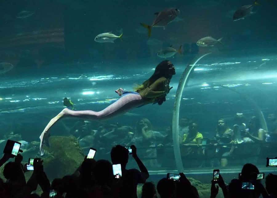 Discover AquaRio & Olympic Boulevard: Marine Life and Art - How the 4-Hour Schedule Feels on the Ground