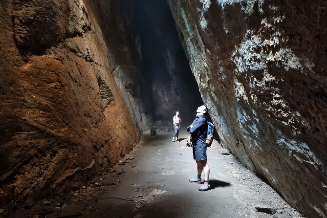 Explore the Best of Tijuca Forest – Hike to Peaks, Caves & Falls - Pickup and getting around: South Zone, City Center, Barra, plus a Carnival exception
