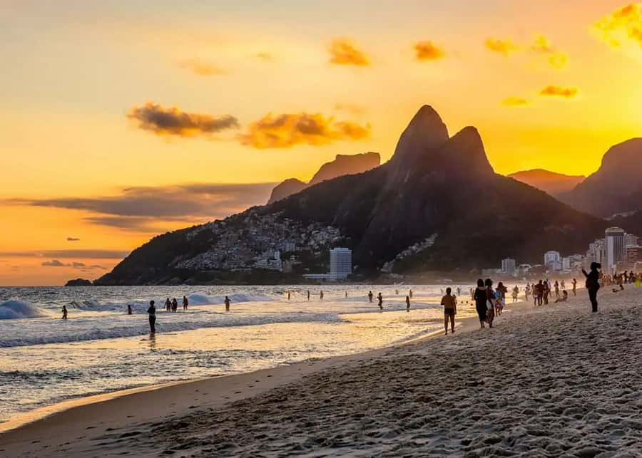 Explore Vidigal & Hike Morro Dois Irmãos: Views of Rio - Along the way: greenery, wildlife, and built-in photo timing