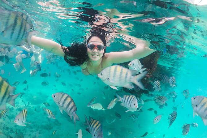 Exploring Angra Dos Reis and Ilha Grande in One Day - Lagoa Verde: reef snorkeling and the sea turtle maybe
