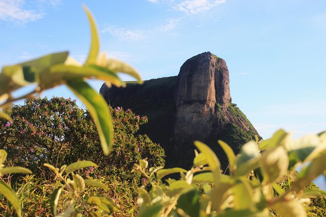 Forest Jeep Tour & Hike to Pedra Bonita (with drone!) - Price and value: $100 for a guided nature day that’s not rushed