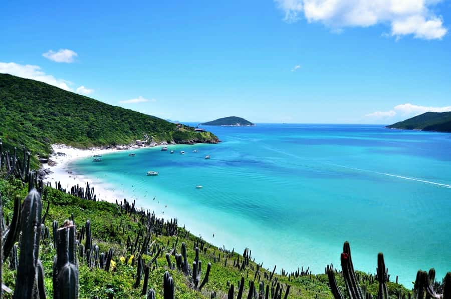 From Rio: Arraial do Cabo - The Brazilian Caribbean Daytrip - Key highlights at a glance