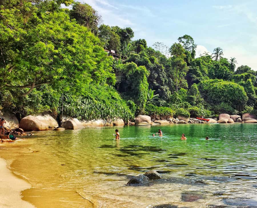 From Rio de Janeiro: Angra dos Reis Boat Trip with Lunch - Ilha Grande Beach Time and Swim Stops You Can Actually Use