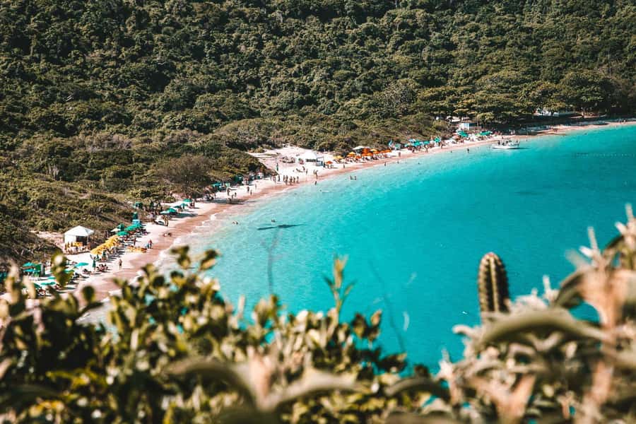 From Rio de Janeiro: Arraial do Cabo Island Day Trip - The boat experience: comfy ride, roof sun, and party-boat energy
