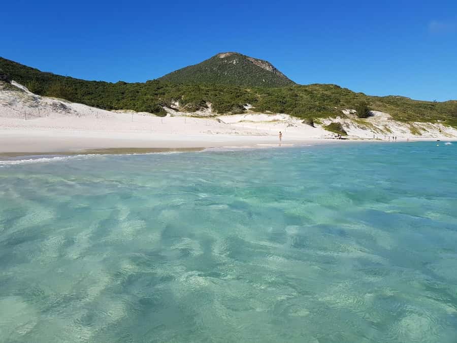 From Rio de Janeiro: Arraial do Cabo Island Day Trip - Arraial do Cabo from Rio: why this “Brazilian Caribbean” is worth the time