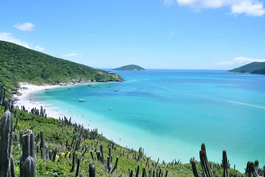 From Rio de Janeiro: Arraial do Cabo Island Day Trip - Pickup, meeting points, and the “don’t miss the bus” rule