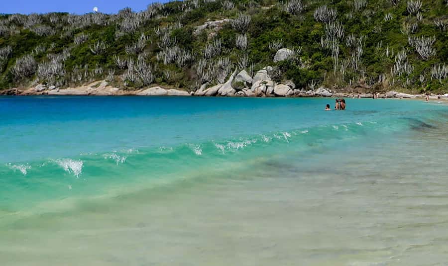 From Rio de Janeiro: Arraial do Cabo Island Day Trip - Ilha do Farol: boat-land glimpses and panoramic payoff