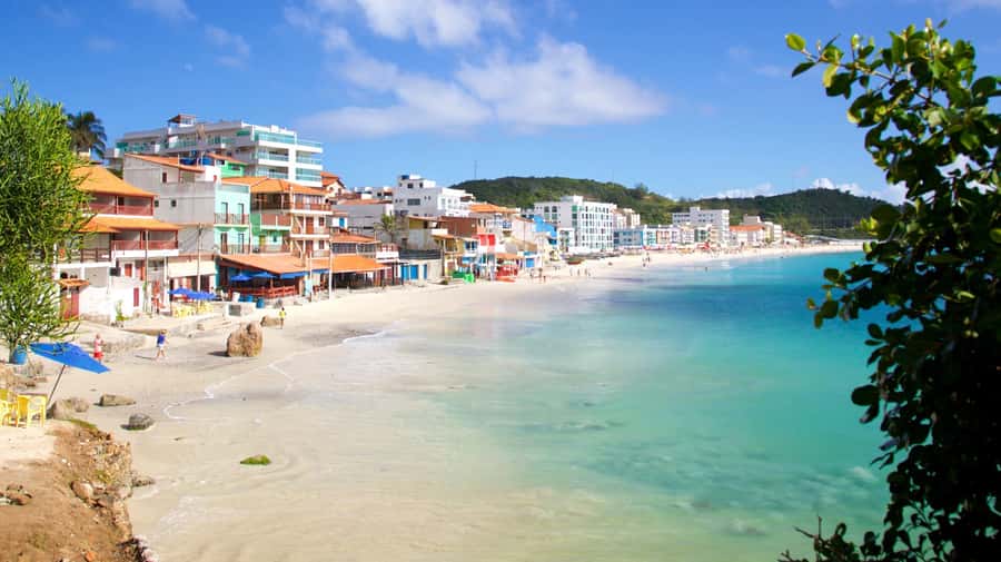 From Rio de Janeiro: Arraial do Cabo Island Day Trip - Seeing marine life in clear water, without needing fancy gear
