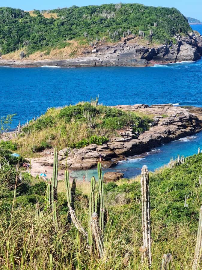 From Rio de Janeiro: Tour discovers Búzios in Buggy - Key things to know before you go