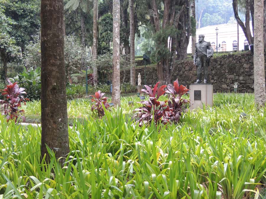 From Rio: Full-Day Tour to The Imperial City of Petrópolis - Who this tour suits best, and who should reconsider