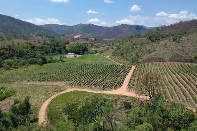 Full-Day Winery Tour from Rio - Getting There From Copacabana: A 10-Hour Rhythm
